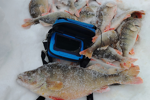 Calypso UVS-02 Plus — лучшая для активного поиска рыбы. Личный опыт