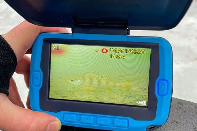 Подводная камера для рыбалки: как правильно выбрать и не ошибиться