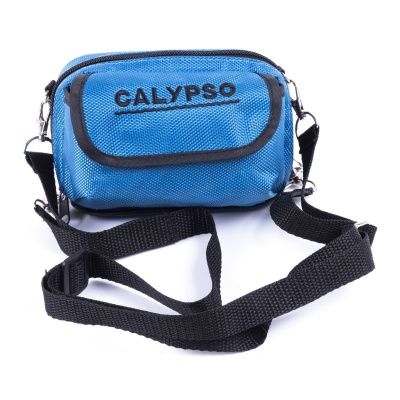 Blue bag-5